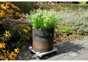 Podložka pod kvetináč z borovicového dreva Esschert Design, šírka 29 cm