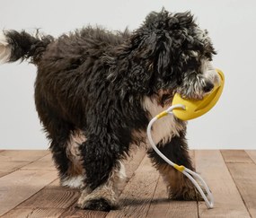 Hračka na hádzanie do vody pre psov