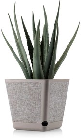PLASTOVÝ KVETINÁČ PILEA TX 18X18 CM BÉŽOVÁ