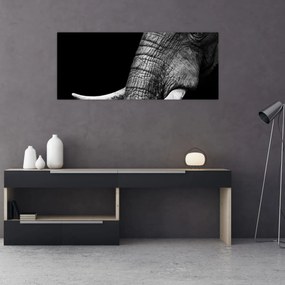 Obraz - Slonie kly (120x50 cm)