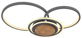 Globo 67256-40 - LED Stropné svietidlo NIRRA LED/40W/230V