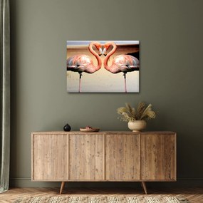 Obraz - dva plameniaky (70x50 cm)