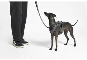 Béžový postroj veľkosť L dĺžka 42 cm Modena Greige L – MiaCara