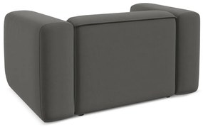 Sivé zamatové kreslo Ekahi – Makamii