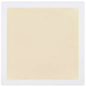 Globo 12380-24W - LED Stropné svietidlo LASSE LED/24W/230V 3000/4000/6500K biela