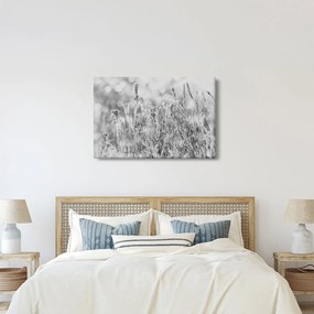 Obraz - Chladná zima (90x60 cm)
