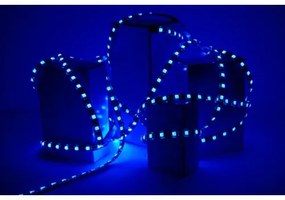 ECOLIGHT LED pásik - SMD 2835 - 5m - 60LED/m - 4,8W/m - modrý - IP20 - s konektorom