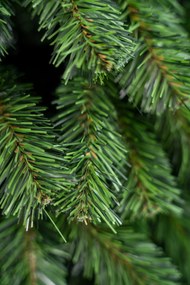 Limpol Vianočný stromček horský smrek 1,50 m