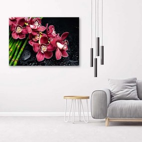 Gario Obraz na plátne Orchidea na bambuse Rozmery: 60 x 40 cm