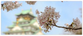 Obraz - Sakura (120x50 cm)