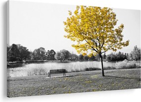 Obraz - Odpočinok v parku (90x60 cm)