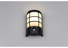 Nástenné vonkajšie svietidlo (výška 20 cm) Sintra – Trio