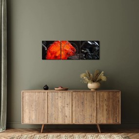 Obraz - Žeravý nerast (s hodinami) (90x30 cm)