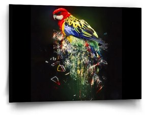 Sablio Obraz Farebný papagáj - 90x60 cm