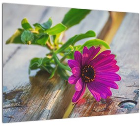 Sklenený obraz rezanej kvetiny (70x50 cm)