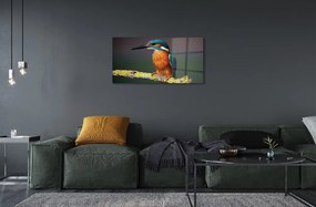 Sklenený obraz Farebný vták na vetve 100x50 cm