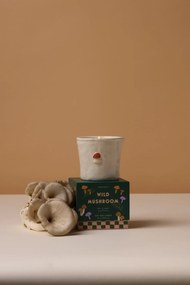 Paddywax Vonná sviečka Bistro Wild Mushroom 226 g