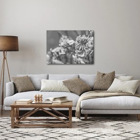 Obraz - Sušené kvety (70x50 cm)