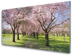 Obraz na skle Chodník stromy príroda 120x60 cm