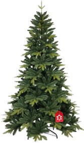 Jedľa Kangri 210 cm