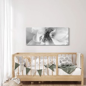 Obraz - Kvet, čiernobiela (120x50 cm)