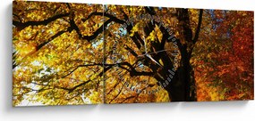 Obraz jesene (s hodinami) (90x30 cm)