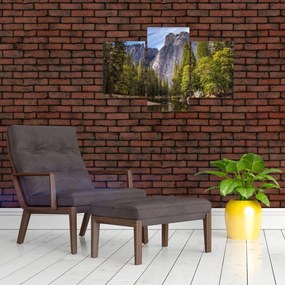 Obraz - Pod Yosemite skalou (90x60 cm)