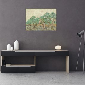 Obraz - Vincent van Gogh, The Olive Orchard, reprodukcia (70x50 cm)