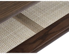 Hnedý konferenčný stolík s doskou v dubovom dekore 60x120 cm Barrali – Unique Furniture