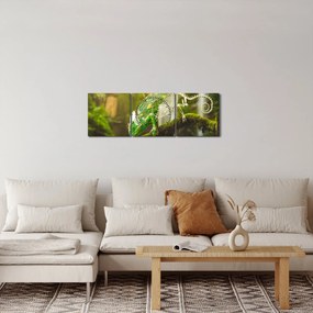 Obraz chameleóna (s hodinami) (90x30 cm)