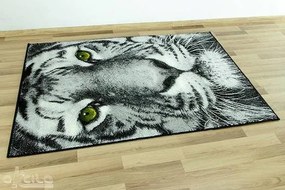 Koberec Rainbow 11179/190 tiger