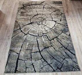 Hnedý koberec Loft so vzorom dreva – obdĺžnikový, prírodný štýl Rozmer: 120x170 cm