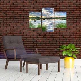 Obraz jazera s tŕstím (90x60 cm)