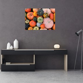 Obraz - Tekvica (70x50 cm)