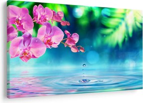 Obraz - Orchidea (90x60 cm)