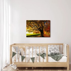 Obraz jesenného stromu (70x50 cm)