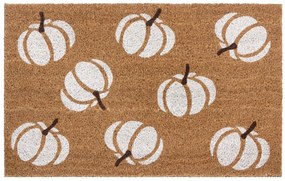 Hanse Home Collection koberce Rohožka Mix Mats Cocos 105676 - 45x75 cm