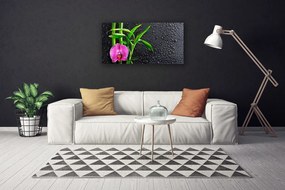 Obraz Canvas Bambus kvet kvapky 140x70 cm