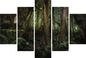 Obraz - Tajomný les (150x105 cm)