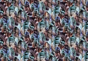 Fototapeta - Perie (152,5x104 cm)