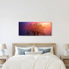 Obraz stromov v hmle (120x50 cm)