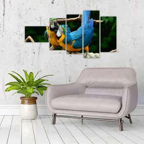 Obraz papagájov na lane