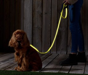 Vôdzka pre psy s reflexnými prvkami