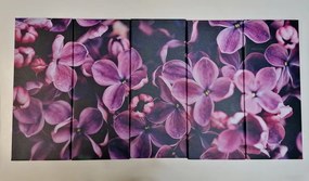 5-dielny obraz fialové kvety orgovánu - 200x100