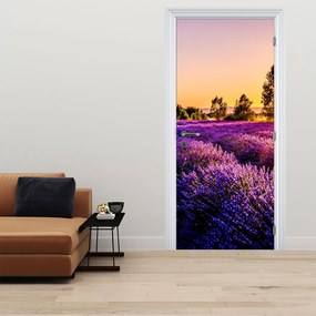 Fototapeta na dvere - Levanduľové pole (95x205cm)