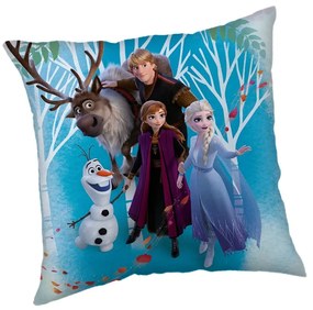 Fleecový detský vankúšik Frozen "Family" – Jerry Fabrics