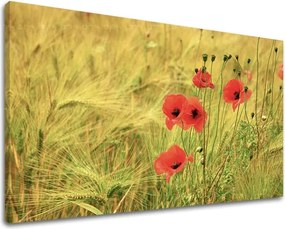 Obraz na stenu KVETY KV080E11 - 60x90 cm