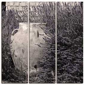 Obraz na plátne - Amfora medzi kríkmi levandule - štvorec 369FB (105x105 cm)