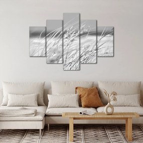 Obraz - Plážová tráva (150x105 cm)