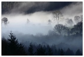 Obraz hmly nad lesom (90x60 cm)